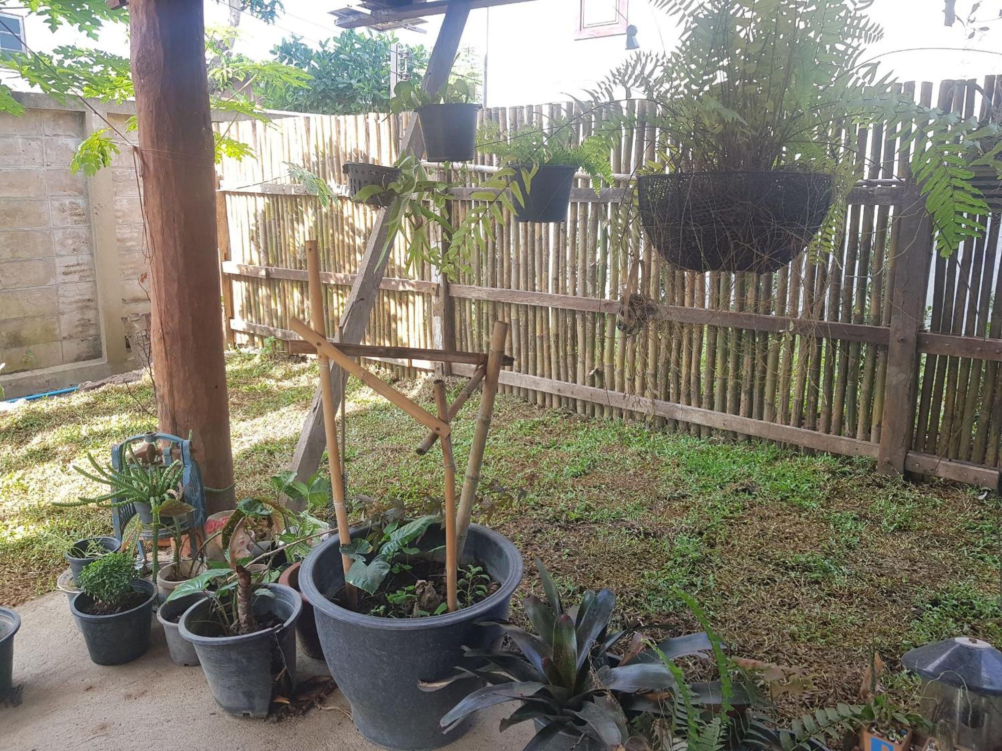Kedthawa Homestay เฮือนเก็ดถะหวา Ban Cho Lae Exterior foto