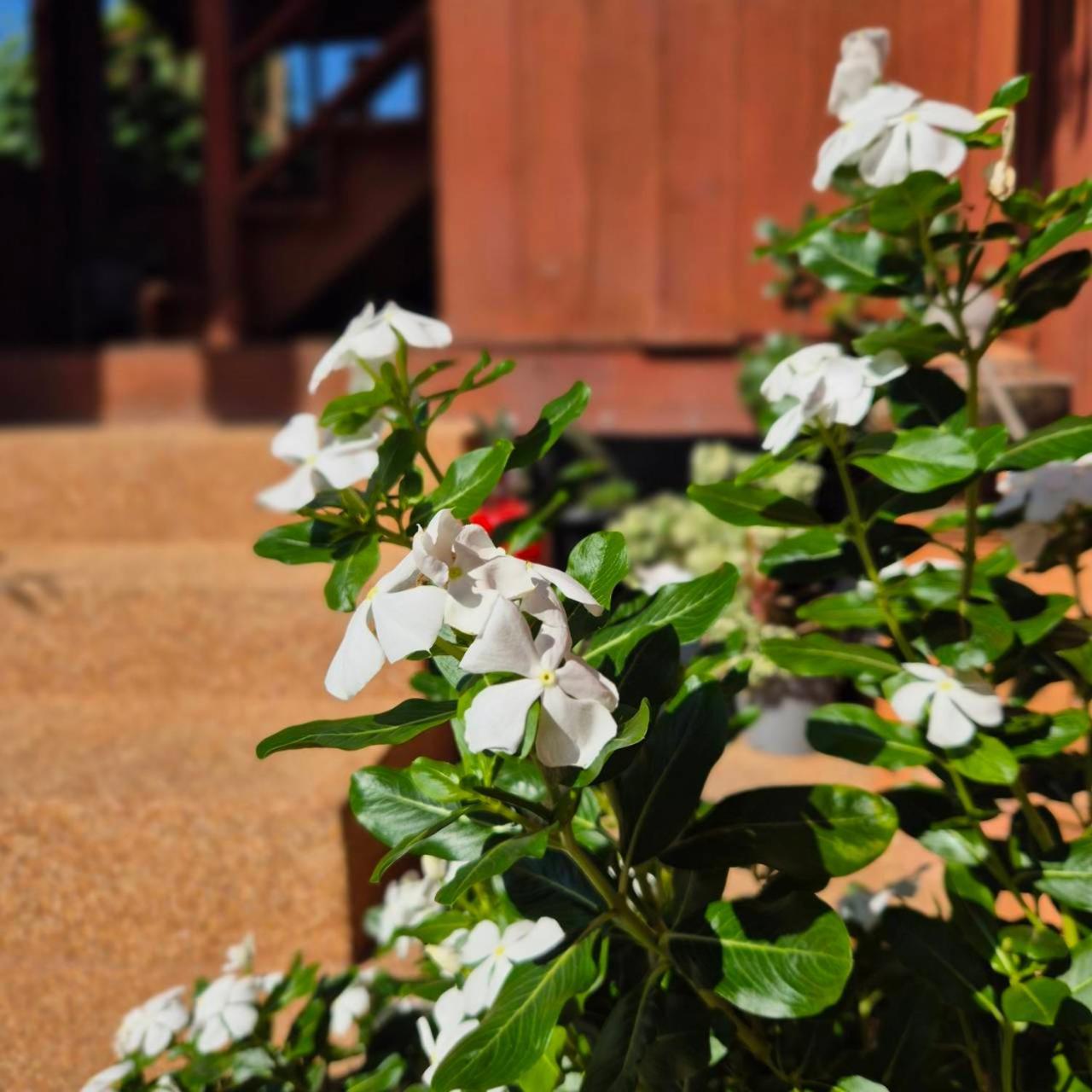 Kedthawa Homestay เฮือนเก็ดถะหวา Ban Cho Lae Exterior foto